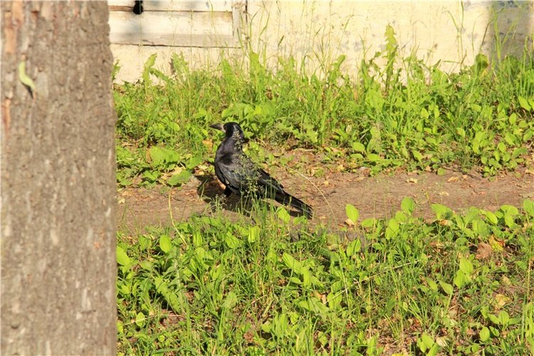 Русская Атлантида, заключительная часть. Калязин, Тверская область