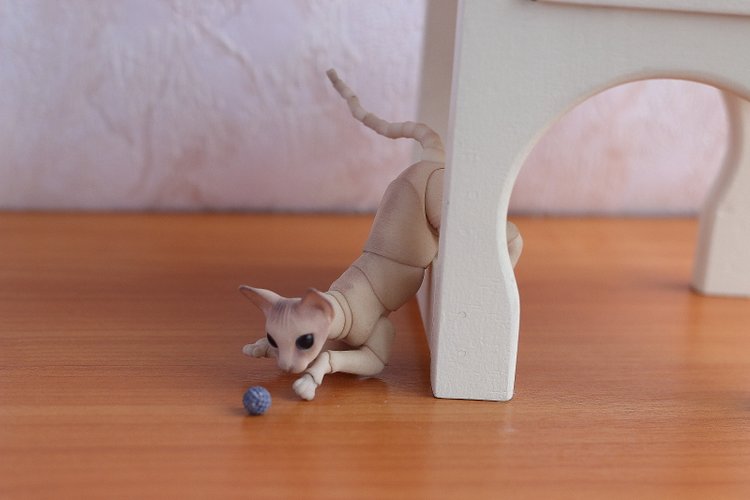 Кот играет с мячиком — Разные куклы BJD (БЖД): редкие бренды