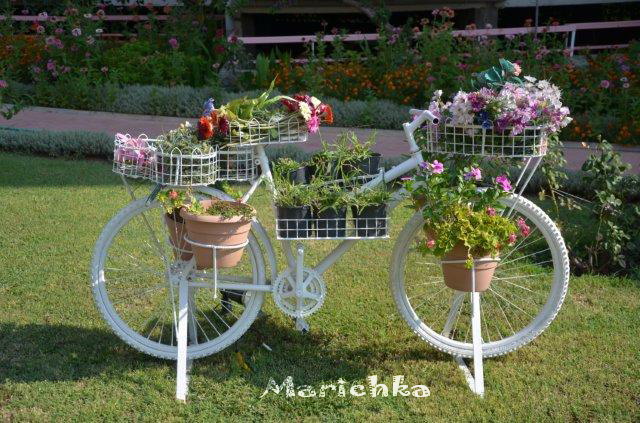 Приключения Лиллимор в Турции. Кукла Annette Himstedt (фото 3)