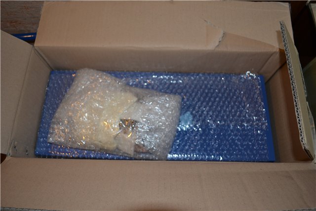 Таня от Iplehouse