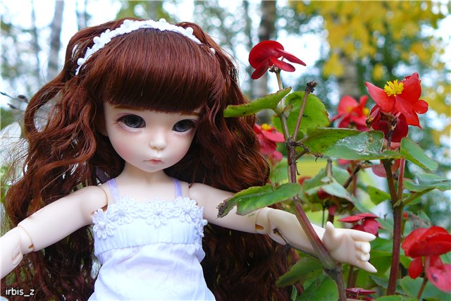 Вот так погуляли или Как у нас появилась кукла БЖД LittleFee Ante Elf