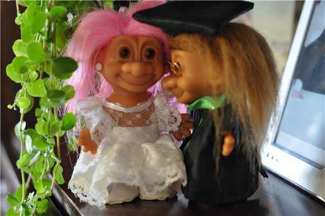 Тролесвадьба или новые друзья из старого чемодана (фото 10)