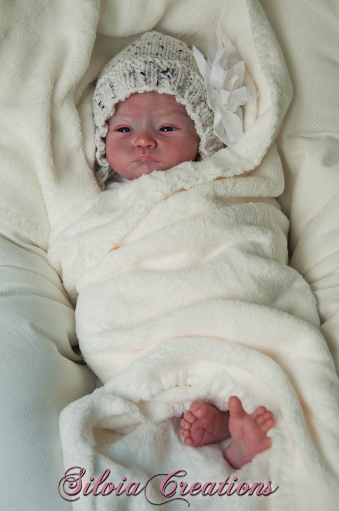 Новый молд Will от Натали Шолль