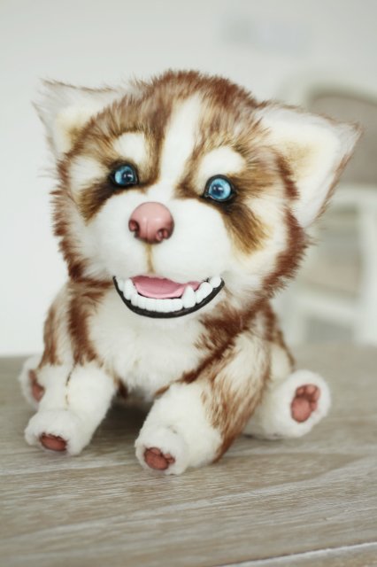 Шоколадный хаски Тофи | Бэйбики Шоколадный хаски Тофи — Авторские мишки Тедди и друзья: фото (фото 2)