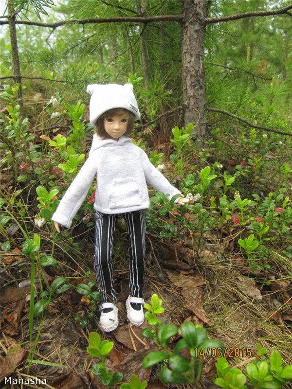 Динкина прогулка — Гибриды шарнирных кукол (не БЖД): подбор тела