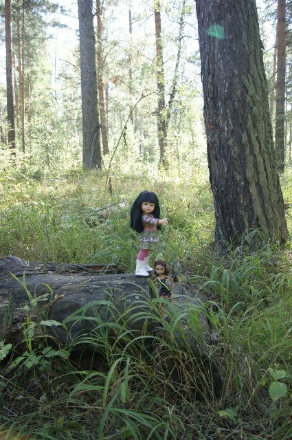 Как Лиу и Клодин за грибами ездили