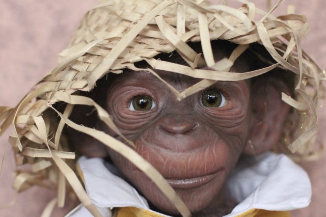 Гога, он же Гоша,он же Гора, он же Жора, здесь проживает? кукла реборн Элины Кудрявцевой