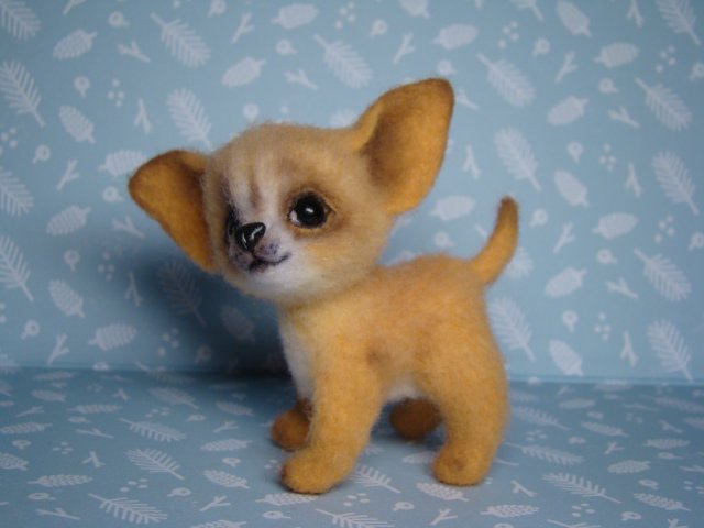 Чихуахуа. Авторская игрушка валянием Ольги Чернухо (фото 3)