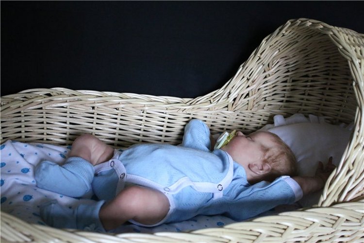 Twin В. Сплюшечка реборн — Куклы Реборн (Reborn): работы мастеров (фото 10)