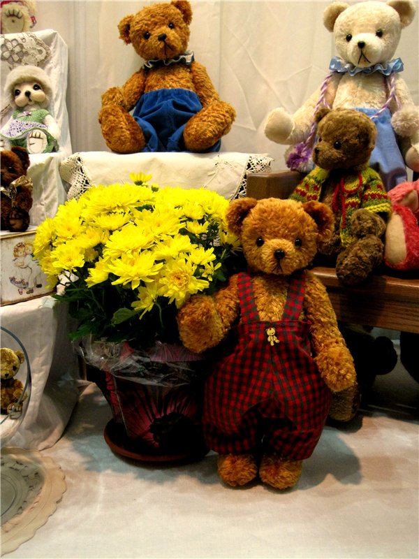 МишкаГрад 2016. Х Московская международная выставка моими глазами. Фоторепортаж (фото 9)