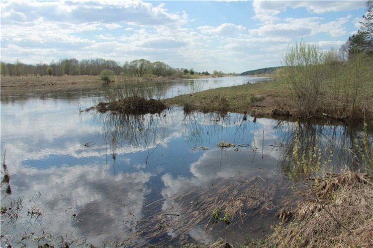 На водопад с Райли. Riley от автора Helen Kish