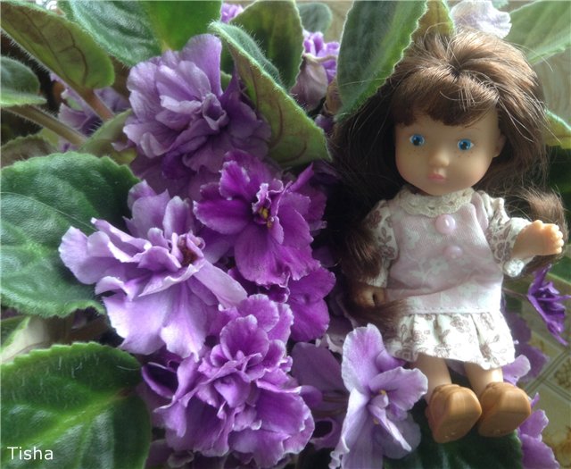 Малышки Sarah Key — Другие мини (фото 9)