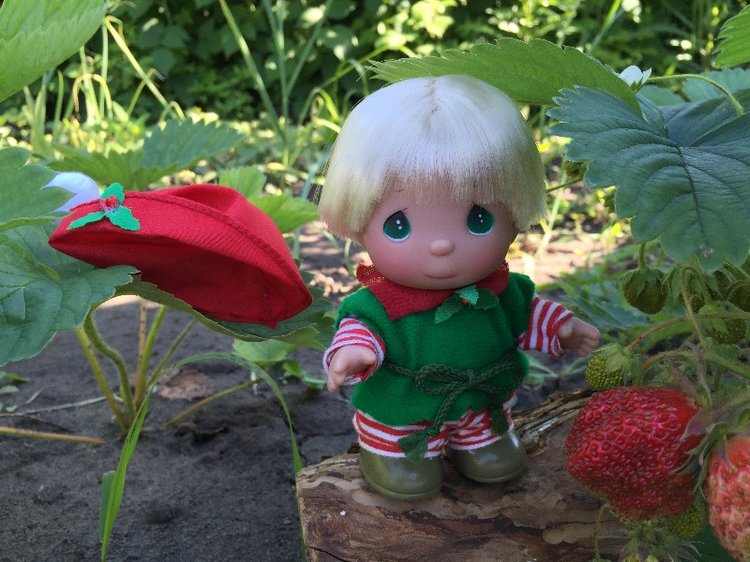 Наш ягодный Гномик от Precious Moments (фото 7)