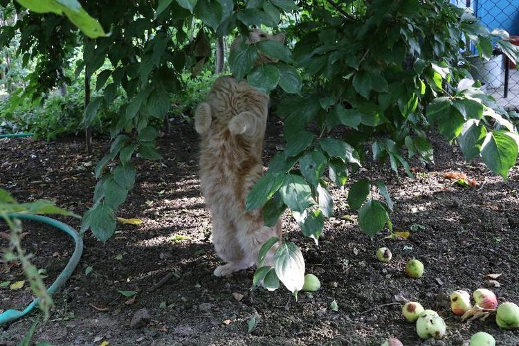 Те, кто нас любит и в домашнем халате, и без косметики, и растрепанными | Бэйбики Те, кто нас любит и в домашнем халате, и без косметики, и растрепанными