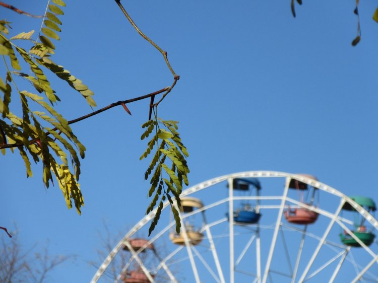 Утренняя прогулка в парке Горького с Соломоном и Анхен, или О сложностях гуляния с собакой и куклой одновременно