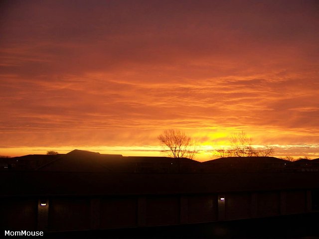 Очаровательные ангелы от Fayzah Spanos (фото 9)