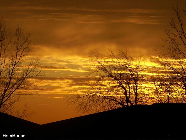 Очаровательные ангелы от Fayzah Spanos (фото 10)