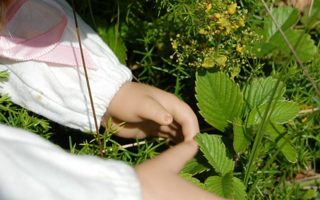 Путешествие по огромному миру! Ирис от E. Pfaffendorf и Тим от Susi Eimer