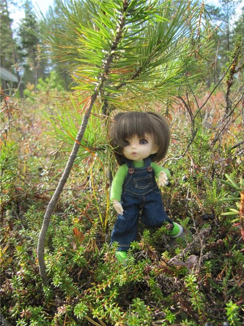 Как Майка за ягодами ходила. Кукла БЖД | Бэйбики Как Майка за ягодами ходила. Кукла БЖД