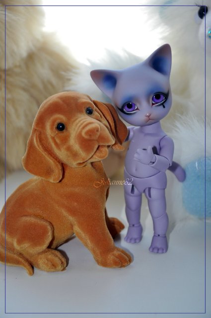 Грустный котёнок БЖД Ринго от Pipos