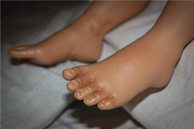 Lilly автора Elissa Glassgold