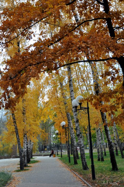 Осенняя прогулка... Littlefee Bisou от Fairyland (фото 9)