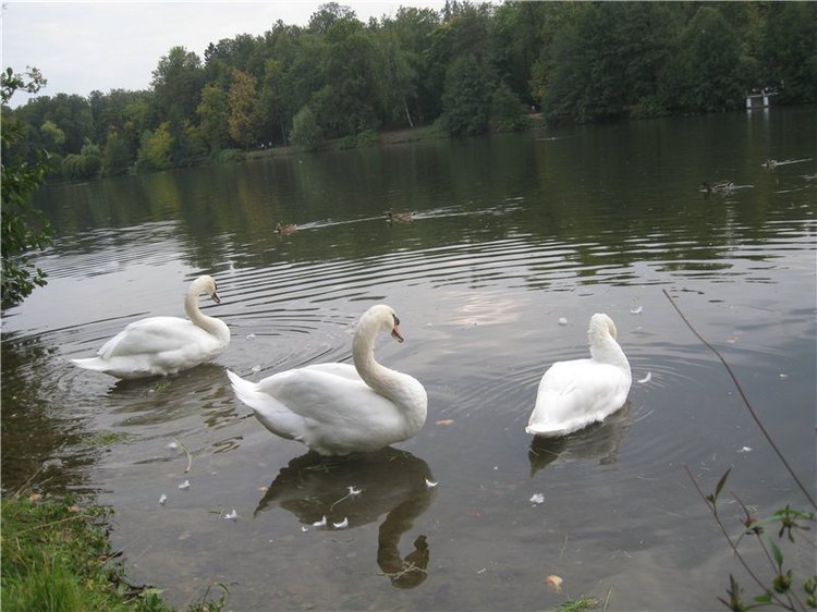 Маленькая цыганочка Рада — Куклы Fairyland (ФэйриЛэнд): BJD (БЖД)