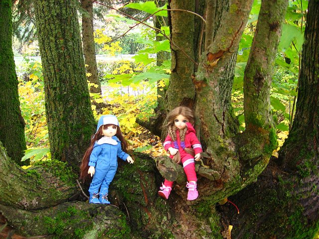 Осенняя прогулка Мини и Мики (фото 8)