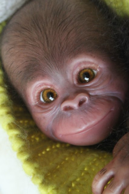 Обезьянка Bindi кукла реборн Элины Кудрявцевой