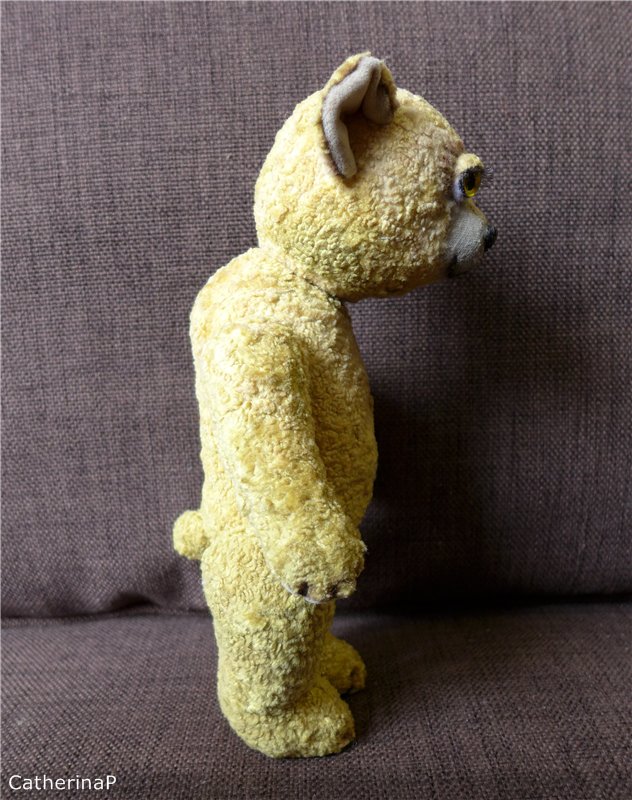 Мой первый мишка-тедди — Авторские мишки Тедди и друзья: фото (фото 5)