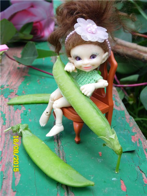 Провожаем лето | Бэйбики Провожаем лето — Болталка и разговоры обо всем: жизнь (фото 7)