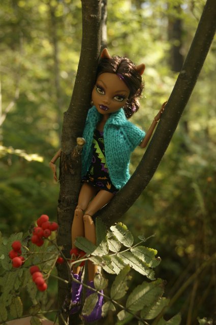 Как Лиу и Клодин за грибами ездили