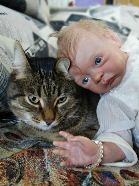 Моего кота не волнуют конкурсы, он просто любит фотографироваться (фото 4)