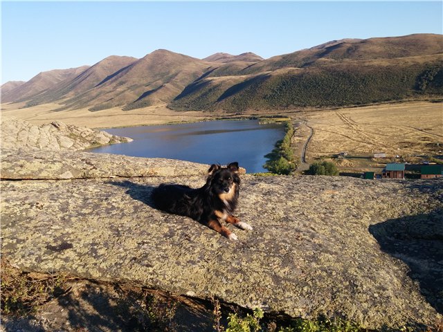 Сибинские озера. Фросенька-эльф высокогорный. ReaiPuki Pupu