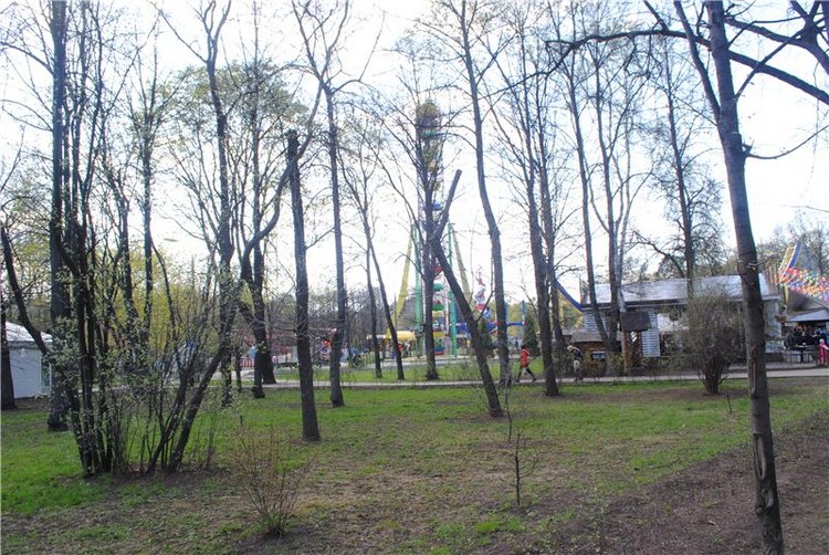В парке «Сокольники» начинает работу блошиный рынок (фото 5)