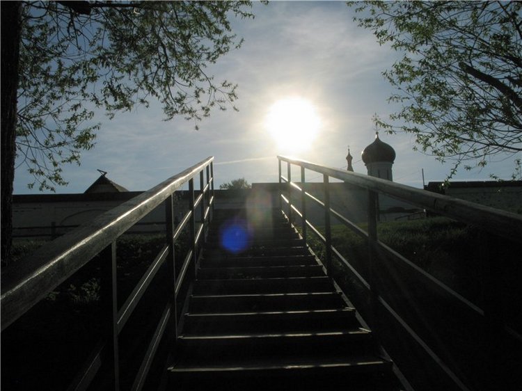 Прогулка с Райли. Riley от автора Helen Kish