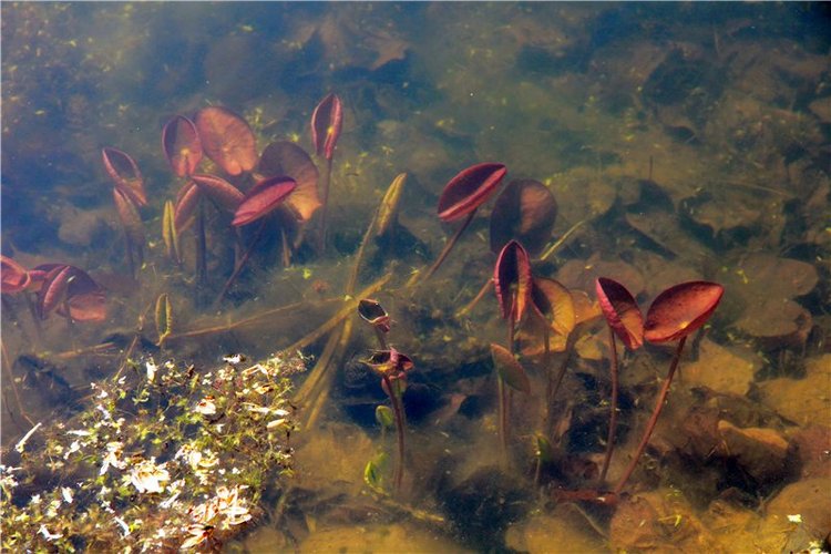 Субботний вояж. Часть вторая | Бэйбики Субботний вояж. Часть вторая