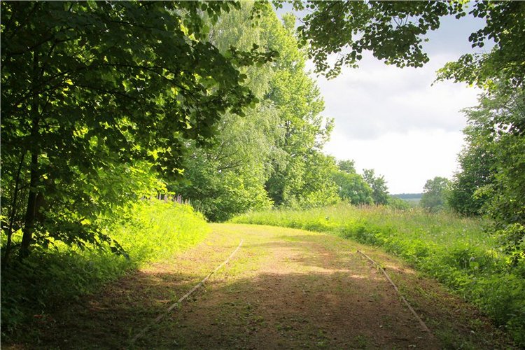 46-ой Пушкинский праздник поэзии в Берново. Часть первая