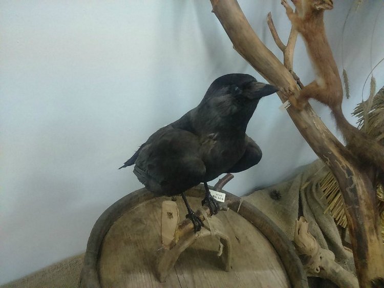 Воткинск — родина гения музыки Петра Ильича Чайковского. Часть 3