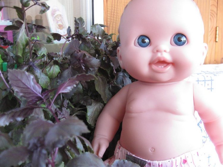 Глазастик и другие куколки