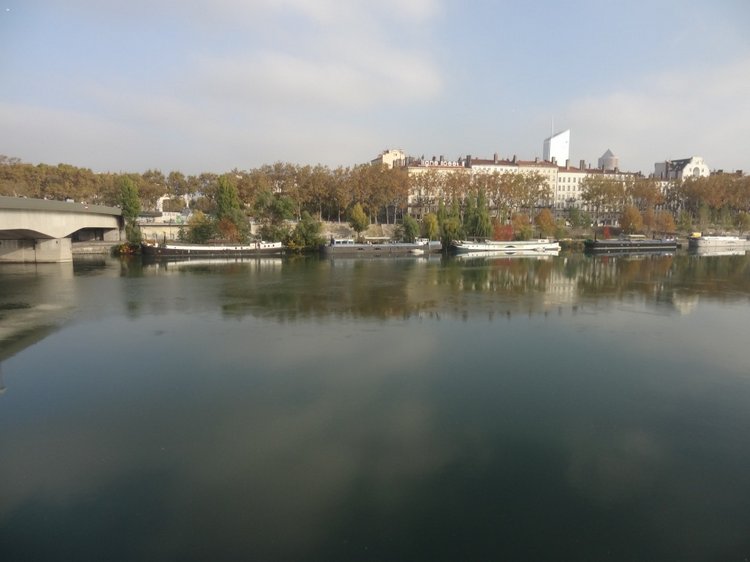 Немного о выставке в Лионе и мои новые шарнирные куклы. LDoll 2016 | Бэйбики Немного о выставке в Лионе и мои новые шарнирные куклы. LDoll 2016