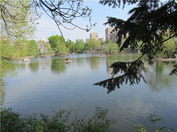 Наша традиционная майская прогулка по Московскому зоопарку (фото 4)