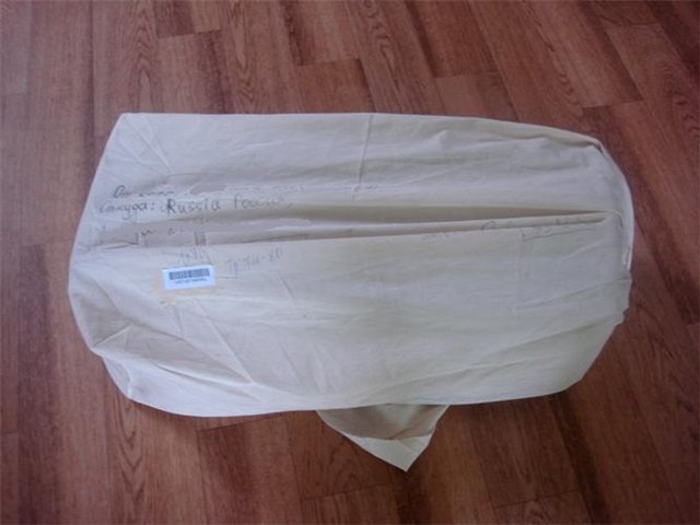 MiniFee Juri 2010 от Fairyland. Девушка Олень | Бэйбики MiniFee Juri 2010 от Fairyland. Девушка Олень (фото 4)