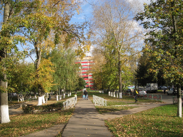 Золотая осень или прогулка по городу БЖД Пукифи Анте -- Элис | Бэйбики Золотая осень или прогулка по городу БЖД Пукифи Анте -- Элис (фото 7)