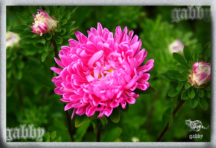 В осенние денёчки, вспоминаем о лете