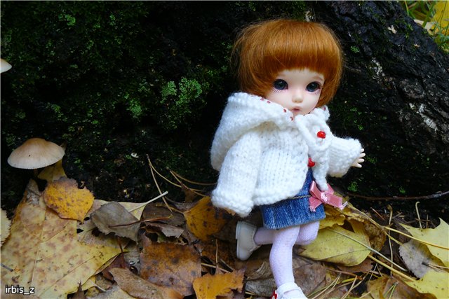 Вот так погуляли или Как у нас появилась кукла БЖД LittleFee Ante Elf (фото 7)