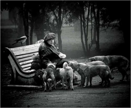 Не просто фото | Бэйбики Не просто фото — Болталка и разговоры обо всем: жизнь