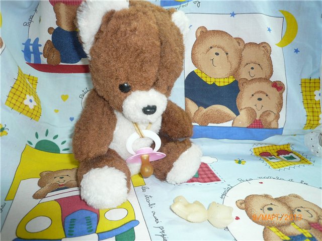 Мой Мишка приехал! Первые часы в любящей доме (фото 2)