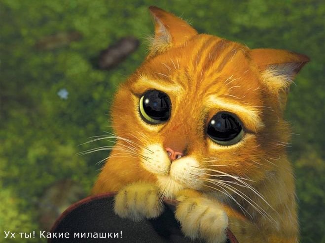 Выбор реборна - сложная ли это штука (фото 2)