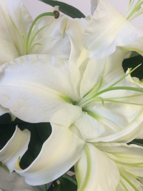 Моя Мики от Kaye Wiggs — Куклы Kaye Wiggs (Кайе Виггс): авторские BJD (БЖД)